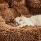 Comforting Pet Bed by Big Paw – Plush Washable Calming Dog & Cat Sofa (S–XL)
