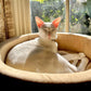 Thermo-Kitty Heated Cat Bed – Indoor Self-Warming Pet Bed for Cats & Small Pets
